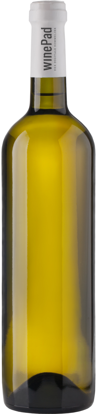 Vino bianco